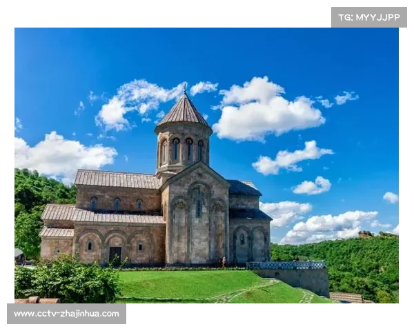 家乡战计划推动格鲁吉亚格斗产业蓬勃发展